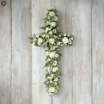 White and Green Cross