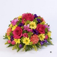 Classic Posy Vibrant