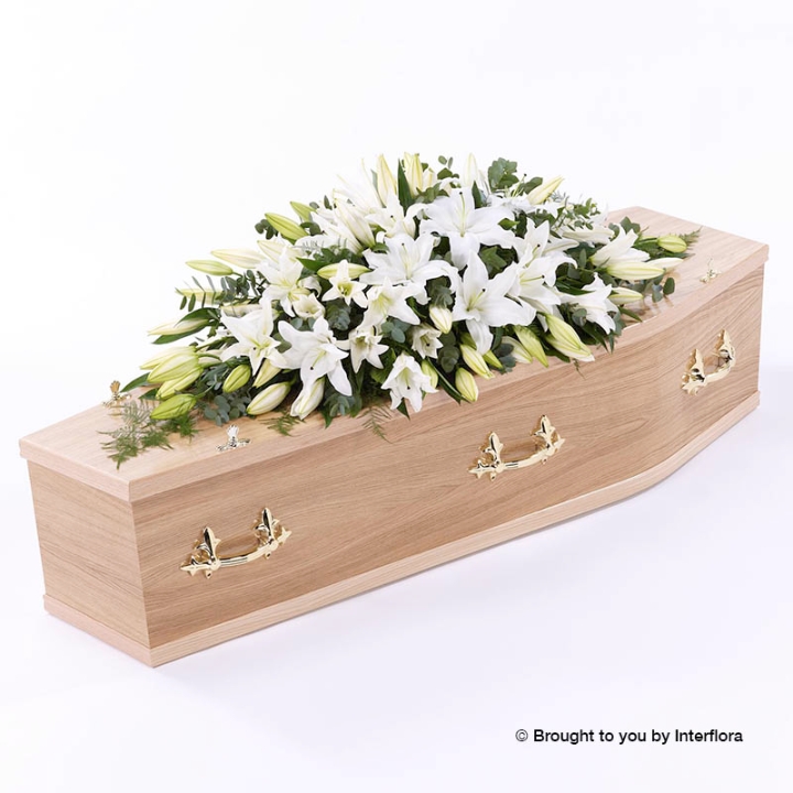 Coffin Spray